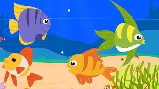 NEW FISH ALERT! Adding Black & White Skirt Tetras + Platies to the 50-Gallon Tank!