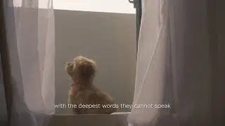 Video by Specialist Course Student, Elijah Allen Macaspac