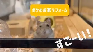 プリンの巣箱　リフォーム中