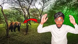 Jungle mein ye kia dekh lia 😳| hatiquevlogs