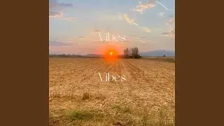 Vibes 7
