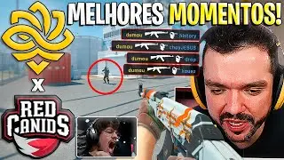BRASIL vs BRASIL NO MAJOR!🔥 LEGACY x RED CANIDS (MELHORES MOMENTOS) StarLadder Budapest (GAULES)