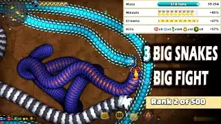 Little Big Snake 🐍🐍🐍|| kill 2 snakes @ 1 time|| top 2 ng big snake 💣|| killer snake