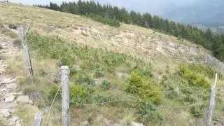 Dosso di Costalta ab Passo Redebus &uuml;ber Malga Cambroncoi Hauptfilm II-II.wmv