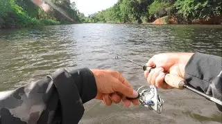 PESQUEI neste para&iacute;so e encontrei as MAIORES JACUND&Aacute;S! Rio Maquin&eacute;. PESCARIA ULTRA LIGHT.