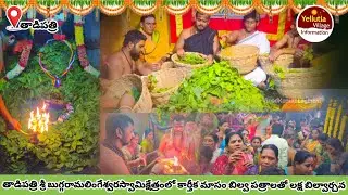 తాడిపత్రిలో బిల్వ పత్రాలతో లక్ష బిల్వార్చన కార్యక్రమం.. పోటెత్తిన భక్తజనం 