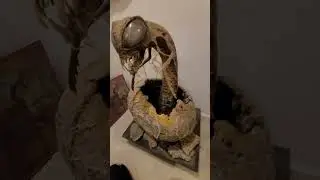 Alien Bug Creature Bursting From Egg Sculpture Custom Prop Monster Horror Oddities Museum Attraction