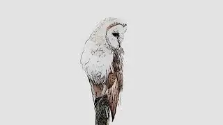[FREE] Drake Type Beat 2017 - 