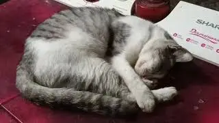 Antri tungguin mas aji parutkan keju @Wiwitlesdiati