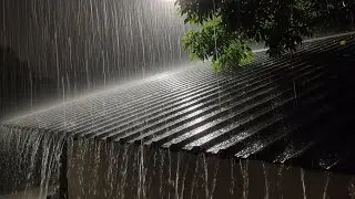 Heavy Rain & Rolling Thunder for Deep Sleep & Full Night Relaxation #26