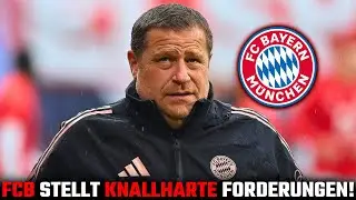 🚨Eberl unter Druck: Der Transfersommer entscheidet ALLES!  #bundesliga #fcbayern