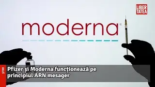 Diferențele &icirc;ntre cele patru vaccinuri care vor fi folosite &icirc;n Rom&acirc;nia