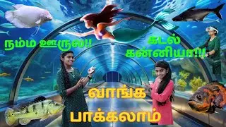 நம்ம ஊருல!! கடல் கன்னியா..!!!  #tirunelveli #exhibition #mermaid #tirunelvelivlog