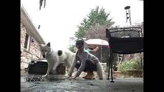 I&rsquo;m jumping in the puddle