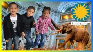 Critical Kids Goto The Smithsonian