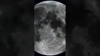 You can send your name to the Moon. How?⁣                                   #shorts #viral #trending