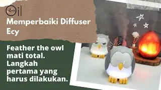 [Ecy] Membetulkan diffuser Young Living  tipe Feather the Owl mati total. Ini solusinya.