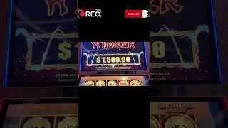 Hot Slots Crypto Jack Pot! The Dark Side of Bitcoin Gambling Revealed | @onlinestake