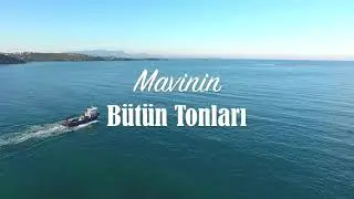 Adab&uuml;k&uuml; transfer