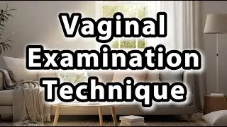 What does Vaginal Examination Technique mean | Vaginal Examination Technique meaning explained