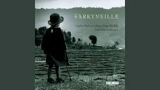 Särkyneille