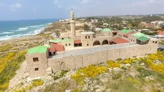 يافا48: 