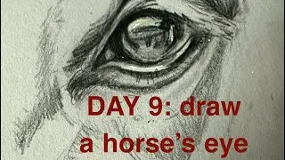 Day 9: drawing a horses eye 