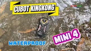 Test Khả Năng Chống Nước Cubot Kingkong Mini 4 