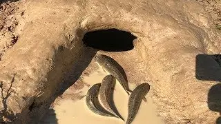 Creative Boy Make Deep Hole Fish Trap-How To Make Easy Fish Trap To Catch Fishes & Crabs