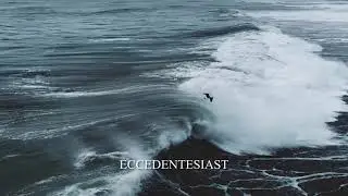 The31.12 - Eccedentesiast (Audio)