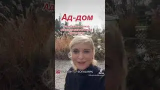 30 декабря 2025 г.