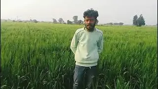 Shoreline gram bhamura ritik patel