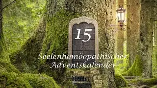T&uuml;r 15 - Mandragora officinalis - Alraune - Seelenhom&ouml;opathischer Adventskalender