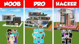 noob vs pro vs hacker