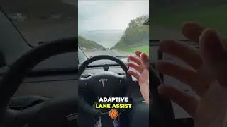 Discover Basic Autopilot Features in Tesla! 🚗✨