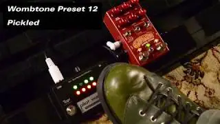 Pilot Wave&trade; presets for Chase Bliss Wombtone Phaser