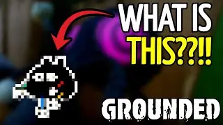 What are the NEW Grounded Decorations???