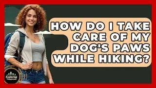 How Do I Take Care Of My Dog's Paws While Hiking? - Exploring Campgrounds