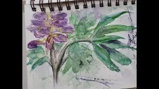 Watch me Paint - Alaska Summer Watercolor Lupine - Watercolor Flowers Demo