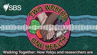 Walking Together: How Yolŋu and researchers are changing health stories together | Two Worlds,...