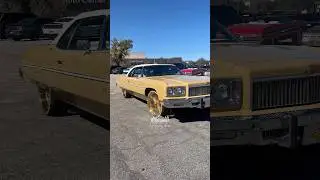 Clean vert on all golds #eyecandywhipz #carshow #bigrims #florida #donks