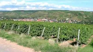 GULDENTAL - Das gem&uuml;tliche WeinDorf sooNahe - fotoNoWo
