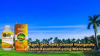 Agen QnC Jelly Gamat Haurgeulis: Penjual Jelly Gamat di Indramayu