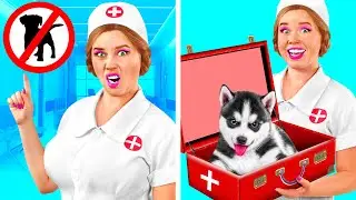 Funny Ways To Sneak Pets Into The Hospital | Crazy Challenge by Fun Teen