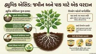 1️⃣ હ્યુમિક એસિડ: જમીન અને પાક માટે એક વરદાન | Humic Acid Benefits in Gujarati