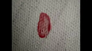 Stop motion painting