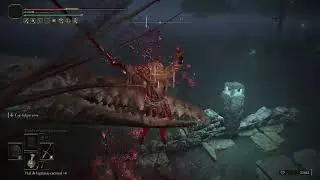 elden ring pvp - transient glow