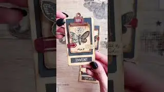 🦋 Noteworthy: Moth Study 🦋