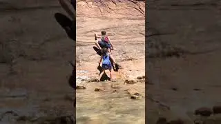 Zion National Park.  The Narrows, up the Virgin River.
