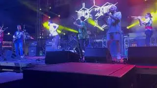THANK YOU SCIENTIST Performs TERRAFORMER Feat. Tom Monda on Fretless Guitar at Pool Stage 4/7/2025